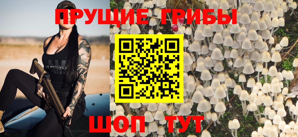 Псилоцибиновые грибы GOLDEN TEACHER  Вход с VPN  Троицк 