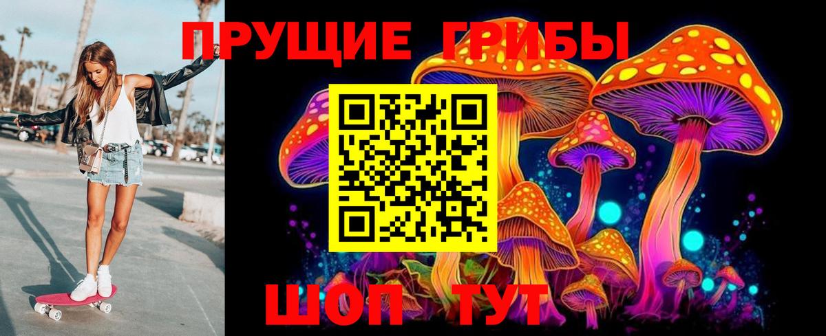 Псилоцибиновые грибы прущие грибы Троицк